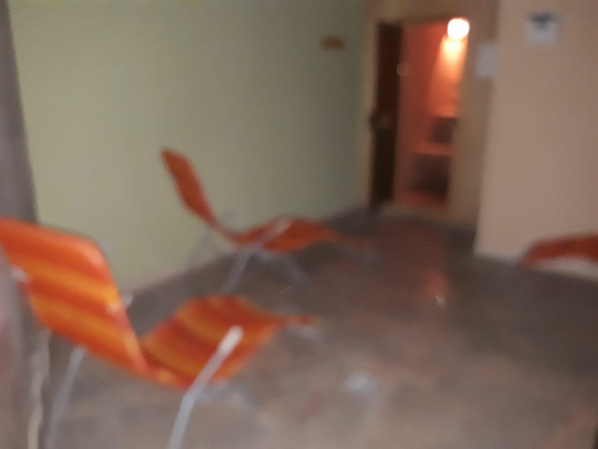 Ezio House Hotel Timisu de Jos Ngoại thất bức ảnh